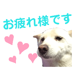 marina_20190602235353