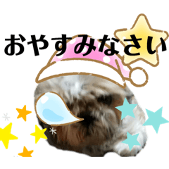Pon_20190525155210