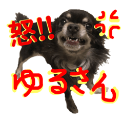 KAYO_20190601002838