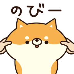Leisurely Shiba Inu