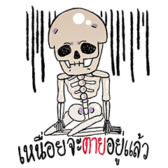 Hey! Mr. Skeleton