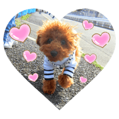 yayoi_20190602191912
