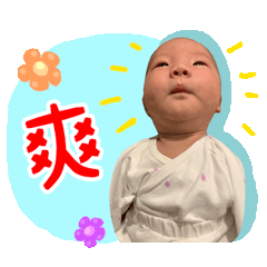吾家阿乖