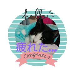 tomochan_20190603205859