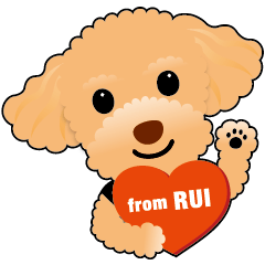 Toy poodle RUI by charaplanets