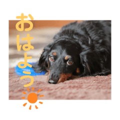 Yuuki_20190604175708