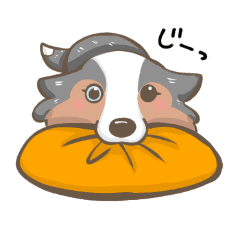 ブルーマールのシェルティ Line スタンプ Line Store ブルーマールのシェルティ Line スタンプ Line Store