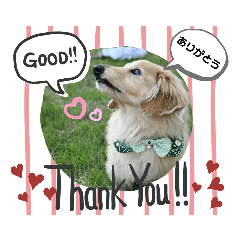 Smile_20190604134028