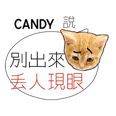 負能量英文姓名貼candy厭世白爛幹話廢物言