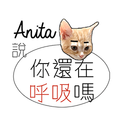 負能量英文姓名貼anita厭世白爛幹話廢物言