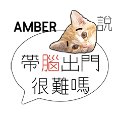 負能量英文姓名貼amber厭世白爛幹話廢物言