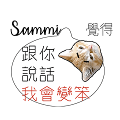 負能量英文姓名貼sammi厭世白爛幹話廢物言