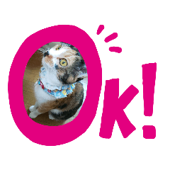 akiko_20190603231305