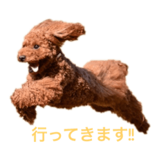 Ryota_20190604202742