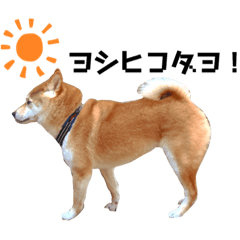 tono_20190603194714