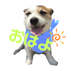 Chie_yu