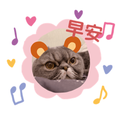 QQのBebe