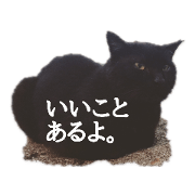 manamanawaru_20190604140454