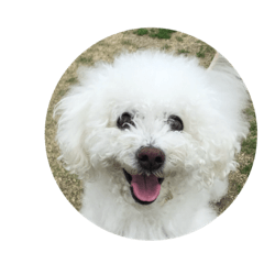 rebotan_20190604125430