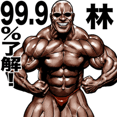 Hayashi dedicated Muscle macho sticker