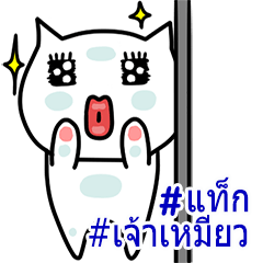 WHITE CAT CHITA(Thai)