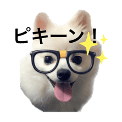 Vanilla Line Stickers Line Store Vanilla Line Stickers Line Store