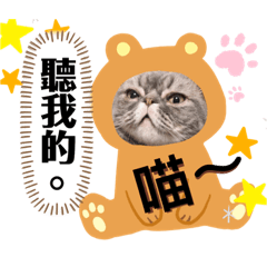 逼比：聽貓的。