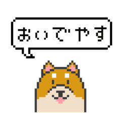 ドット絵 京都弁の柴犬 Line スタンプ Line Store