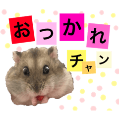 arisa_20190605chanchan