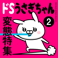 DO-S Rabbit 13 (Transformation)