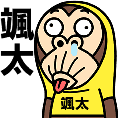 Sota, is a Funny Monkey
