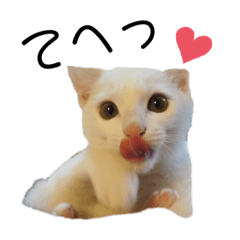 omochinokimochi0907 NO2