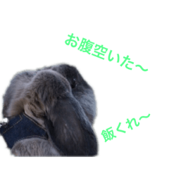 TAKASHI_20190606014842