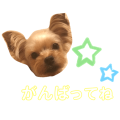 hana_20190605232825