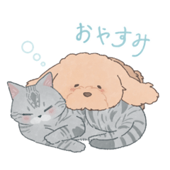 People who love dogs and cats!