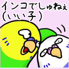 インコが大好きすぎるスタンプ Line スタンプ Line Store