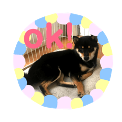 ayumi_20190605184320