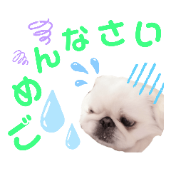 mako_20190605235636