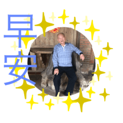 關心語