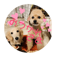 mimi_20190605215747
