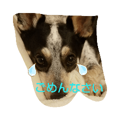kanae_20190605220525
