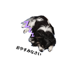 moko_20190606112126