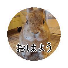 saori_20190606132430