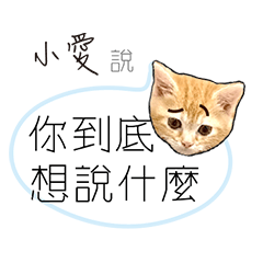 for_shaio i小愛