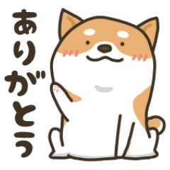 Dog Language Book(Shibainu)
