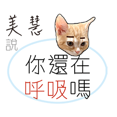 for_mei hue美慧負能量厭世姓名貼