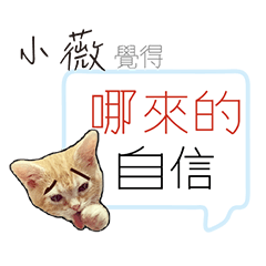 for_shian wei小薇負能量厭世姓名貼