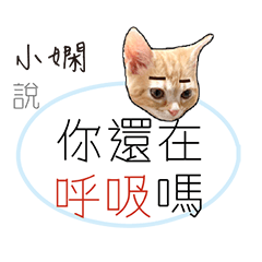 for_shaio shen小嫻