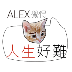 06_for_alex. hi alexALEX