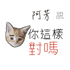 for_a fun阿芳